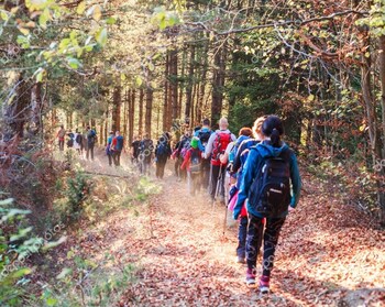 the himalayan heaven homestay binsar