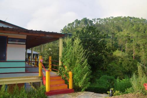 the himalayan heaven homestay binsar