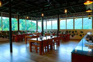 misty dale munnar resort and spa