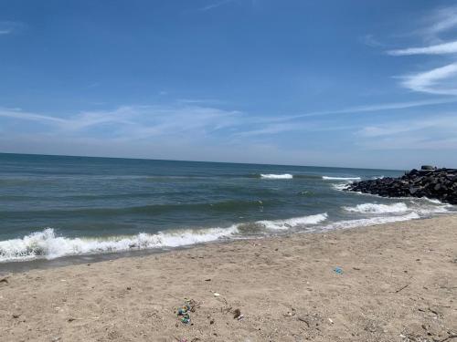 blue waves homestay