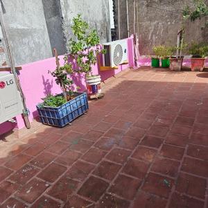 blue waves homestay