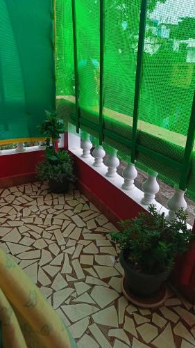 blue waves homestay