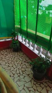 blue waves homestay