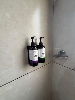 sunny executive satara