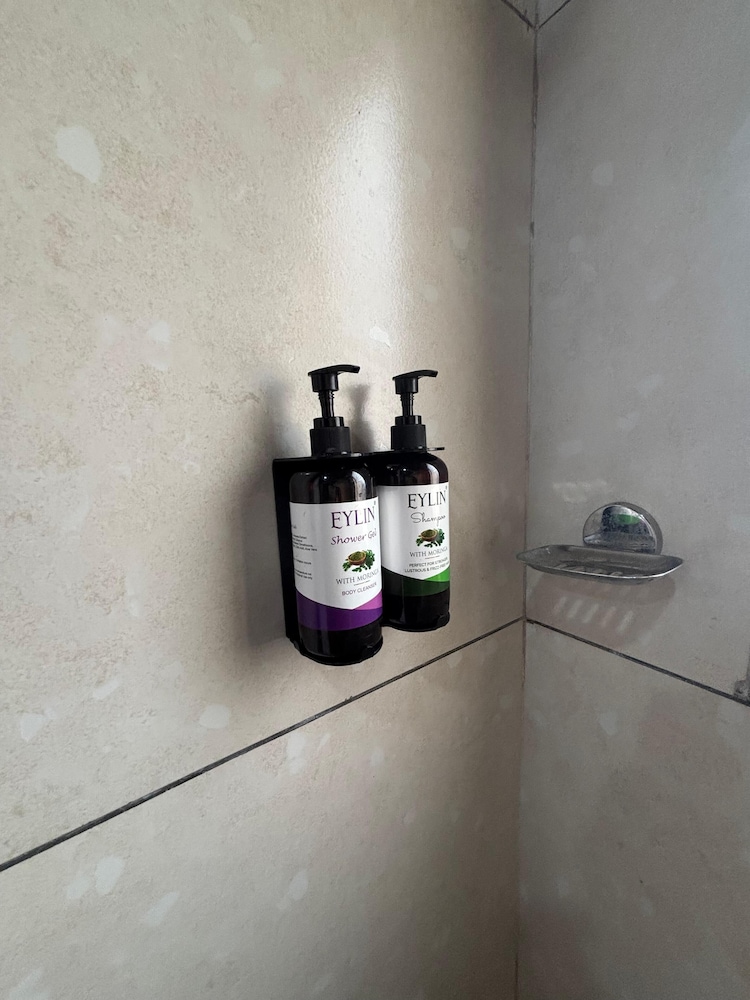 sunny executive satara