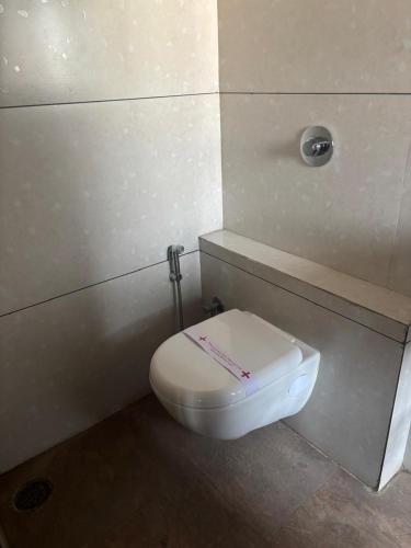 sunny executive satara