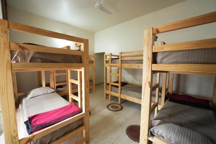 palace hostel by borrbo mysore