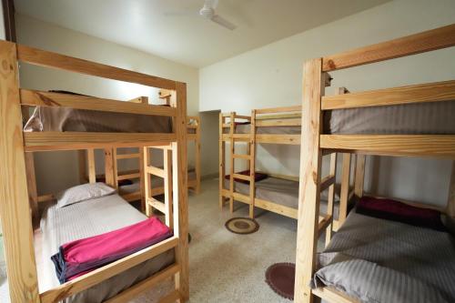 palace hostel by borrbo mysore