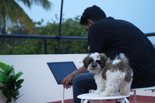 palace hostel by borrbo mysore