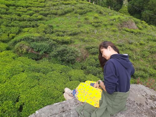 bubble beds darjeeling