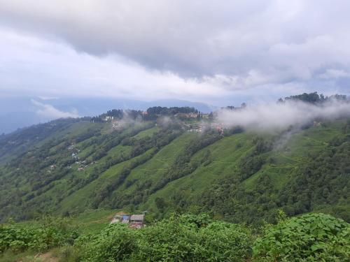 bubble beds darjeeling
