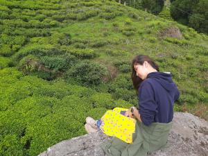 bubble beds darjeeling