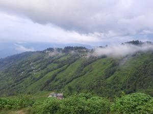 bubble beds darjeeling