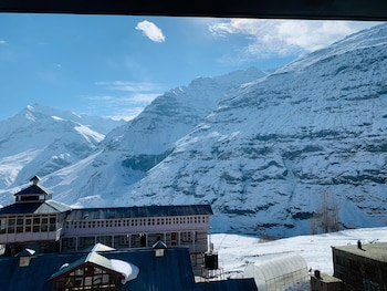 the bulevar whispering willow