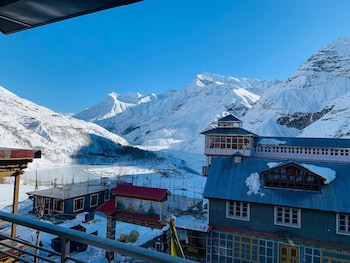 the bulevar whispering willow