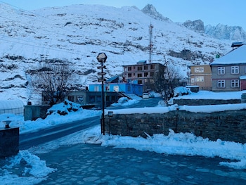 the bulevar whispering willow