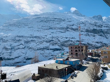 the bulevar whispering willow