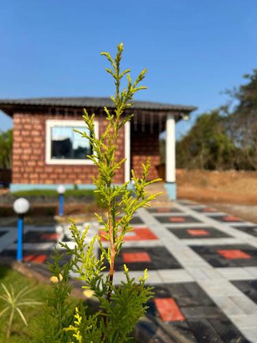 yashovana nature stay gokarna