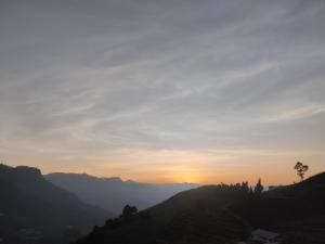 divercity luxury glamping