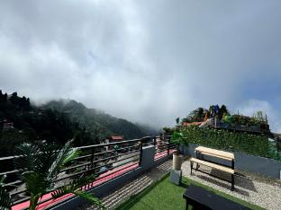 darjeeling