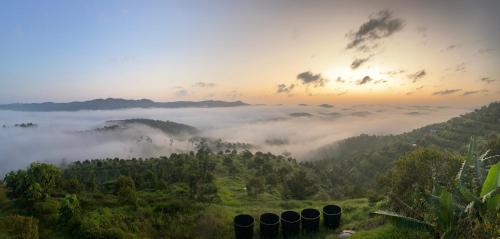 lilla summer retreats formerly known as karak orchard resort