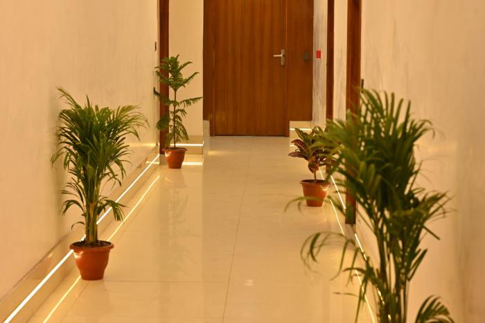 new delhi
