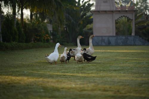 Kesarbagh Palace,,4 star