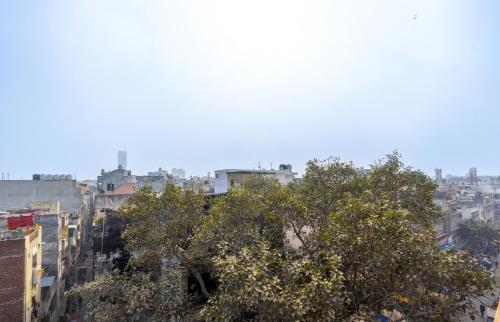 new delhi