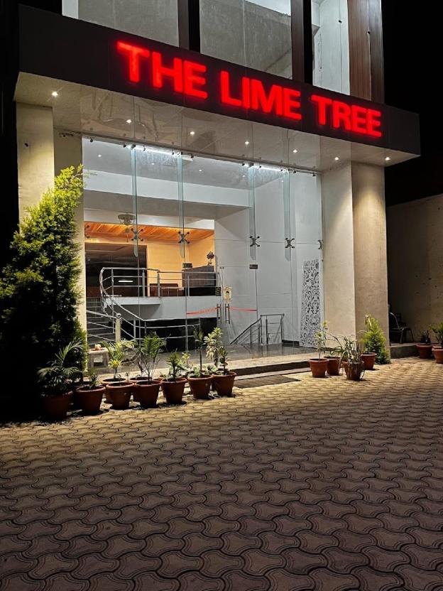 the lime tree