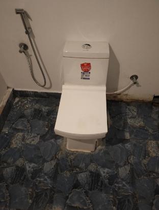 sai palolem beach cottages