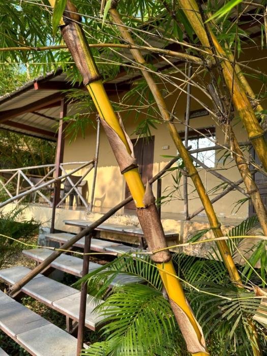 aranya phansad resort