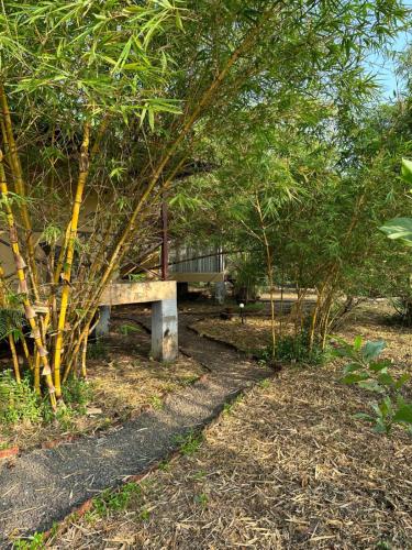 aranya phansad resort