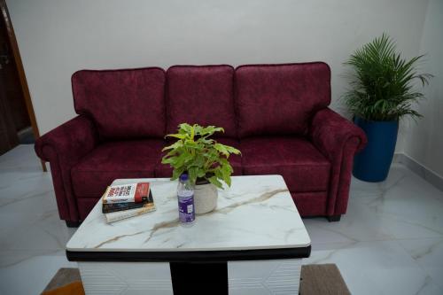 yellow bells serviced apartments hitech city