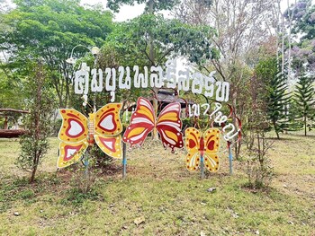 pak chong