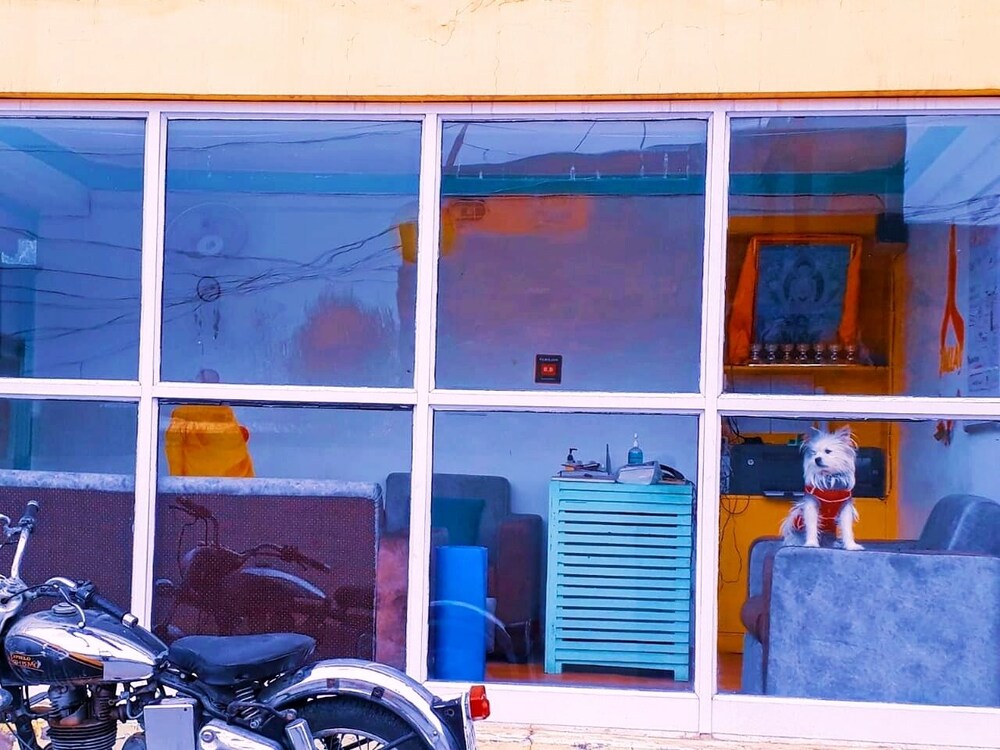 himalayan bunker leh