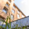 parkhotel horst