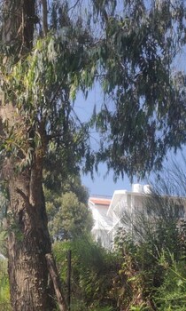 bon sejour ooty hill view resort and hotel