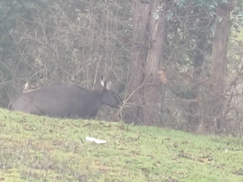 bon sejour ooty hill view resort and hotel