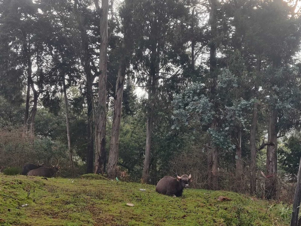 bon sejour ooty hill view resort and hotel