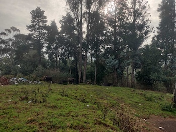 bon sejour ooty hill view resort and hotel