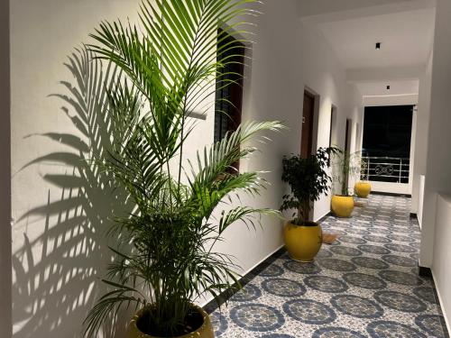 La Antilia Luxury,,3 star