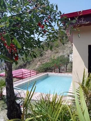 fun n forest resort
