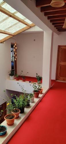 pemas cottage