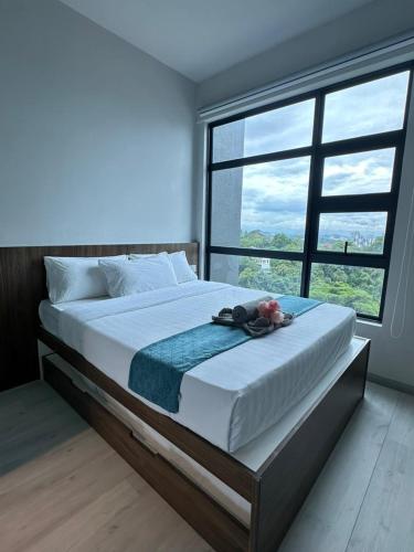 jesselton quay kota kinabalu city centre lw suites