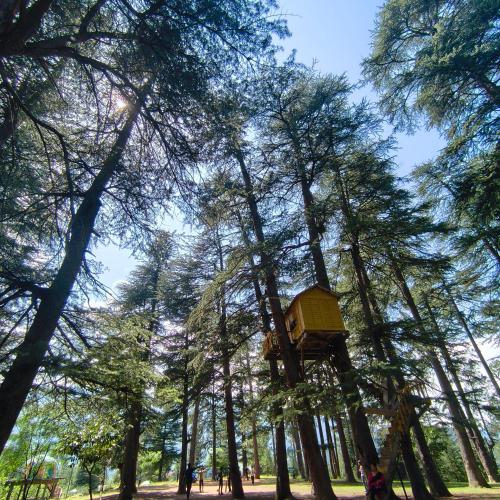 kds resort