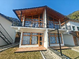 silverfern by the hillside