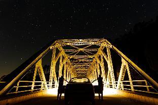 silverfern by the hillside