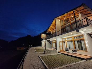 silverfern by the hillside