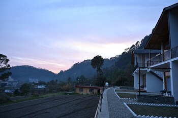 silverfern by the hillside