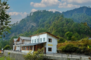 silverfern by the hillside